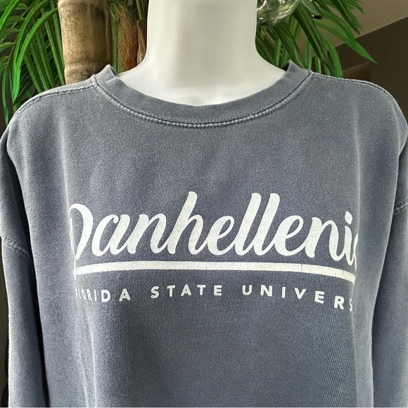 PANHELLENIC Florida State Gray Blue Oversized Sweatshirt L Comfort Colors EUC - Picture 2 of 7